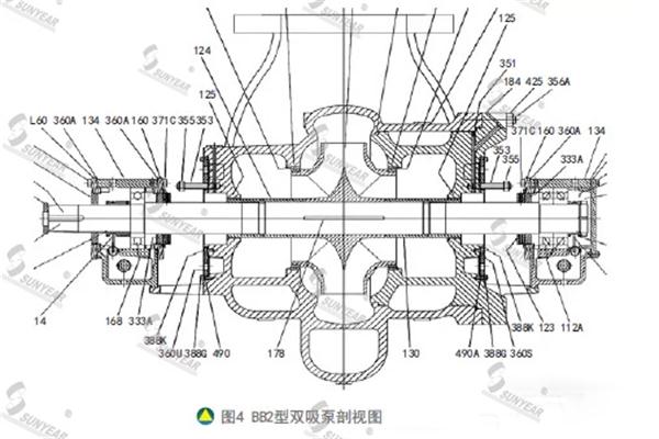 BB2型雙吸泵剖視圖