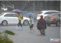 暴雨來襲 親們~請(qǐng)注意交通安全，別急！